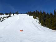 Elk Park Ridge slope