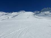 Easy slope at Gletscher Jet