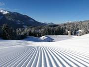 First-class slope grooming in Filzmoos