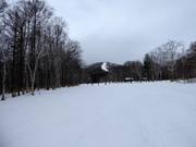 Easy slope South Road