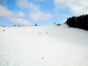 Well-groomed: the Kapellenhang