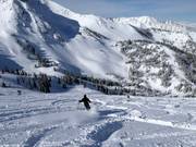 Powder snow in the Gad Valley