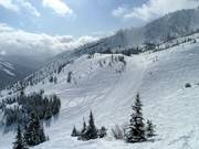 View of the Deputy run