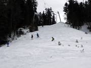 Short, steep section at the Seewald lift