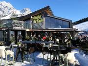 Mountain hut tip Hochkönigalm