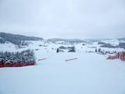 View from the mountain station over the Sinswanger ski slope