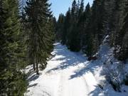 Cross-country skiing in Pamporovo