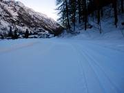 The trails are groomed for classic technique and skating.