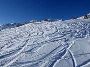 Off-piste descents at Cima Vioz