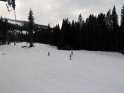 Elk Camp Meadows Learning Area