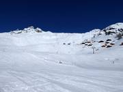 View from the Lauchernalp to the Hockenhorn
