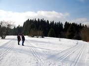 Altastenberg is located on the Rothaarloipe cross-country trail
