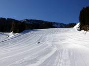 Optimal for young racers