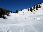 Easy slope No. 6 Paradiso