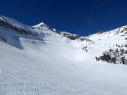 The Bowl at Powder Seeker 6