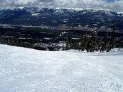 Typical forest glade run in the Kicking Horse ski area