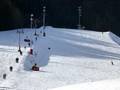 Slopes Oberaudorf – Hocheck