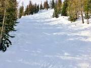 Difficult slope Mesclun in the Méné sector