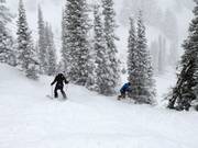 Steep terrain in Snowbasin