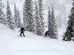 Ski resorts for advanced skiers and freeriding Mountain States – Advanced skiers, freeriders Snowbasin