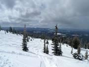 Deep-snow slopes in the Sun Rype Bowl