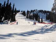 Race course GMC Race Centre