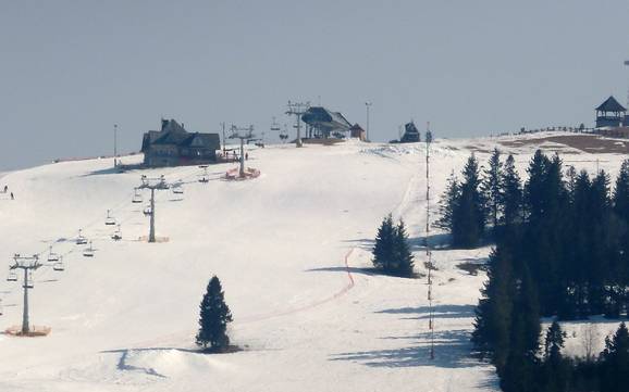 Skiing near Czarna Góra