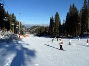 Beginner slope Biela Pút