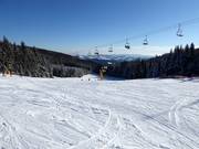 Wide practice slope on the Mönichkirchner Schwaig