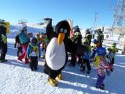 The children are looking forward to Bobo