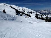 Mauri's carving slope