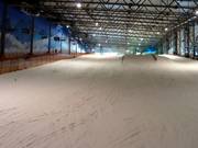 Upper section of the main slope