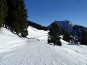 Easy Gammeringabfahrt