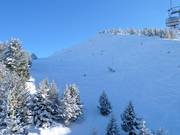 Freeride area at the Weinbergbahn
