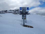 Olympic T-Bar - T-bar