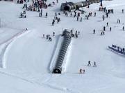 Alfombra El Bosque - People mover/Moving Carpet with cover