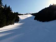 Ski route down to the valley to Kuznice