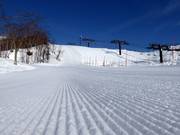 Perfectly groomed slope in Grand Hirafu