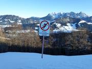 Protection of the reforestation area