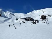 Easy slopes at the Delta Chair