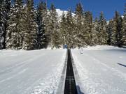 Conveyor belt Thaneller