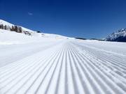 Perfect slope grooming in the Zuoz ski area