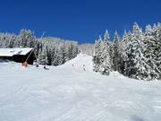 Valley run no. 9a Zwieselalm