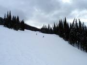 Hollywood downhill run