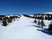 Kvitfjelløypa downhill run