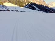 The trails in Steg are groomed for both classic and skating styles.