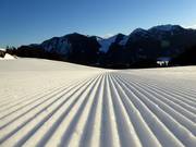 Freshly groomed slope in the Spitzingsee-Tegernsee ski area