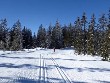 Cross-country skiing Salzburger Sportwelt – Cross-country skiing Filzmoos
