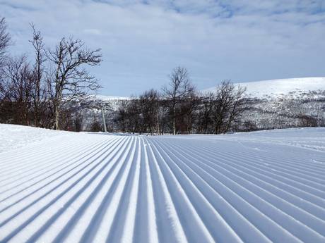 Slope preparation Härjedalen – Slope preparation Tänndalen