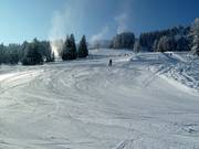 Descent at the Tannlegerlift